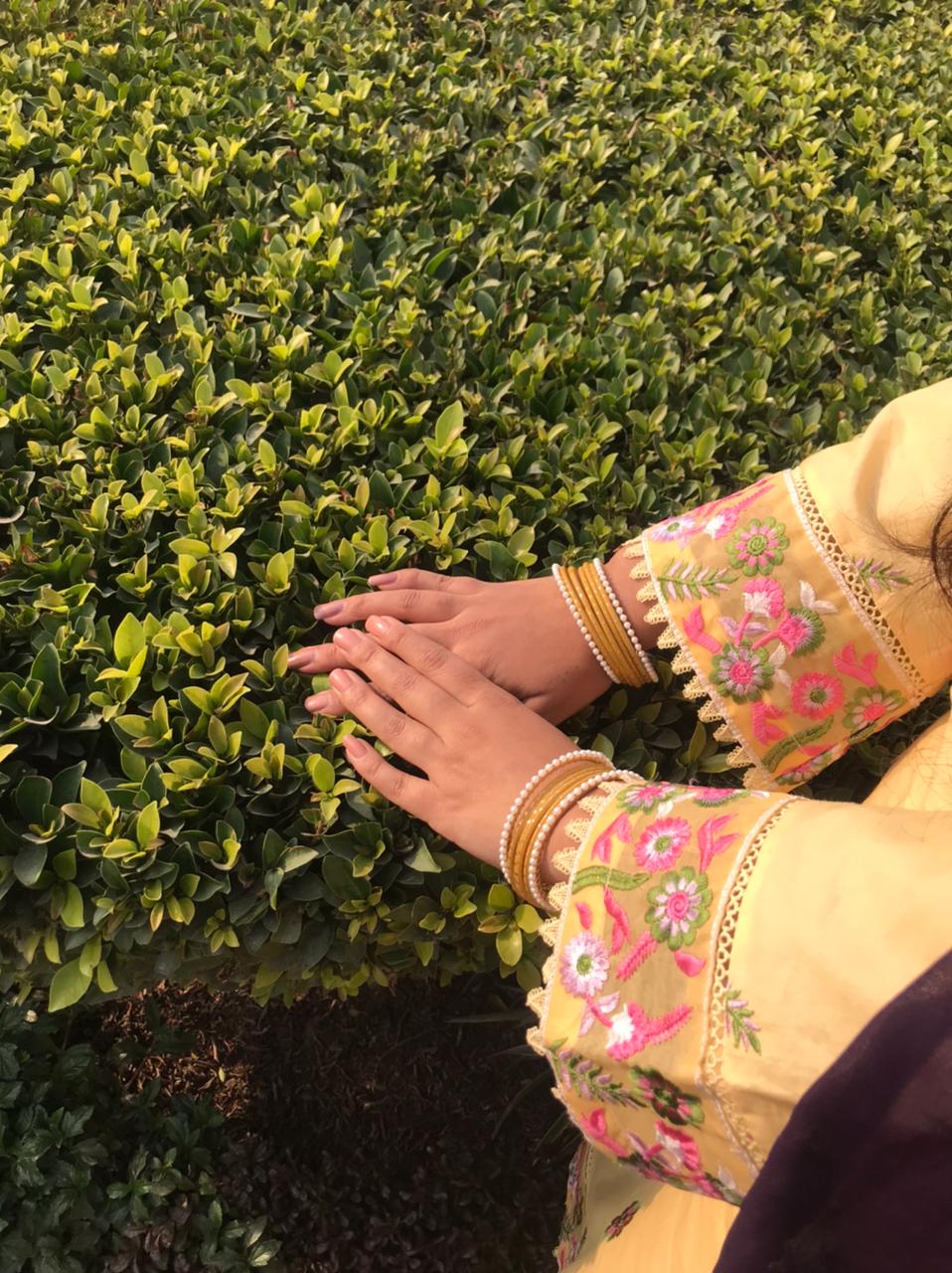 Silwalo | Stitch 2 Pc Embroidered Cotton Collection