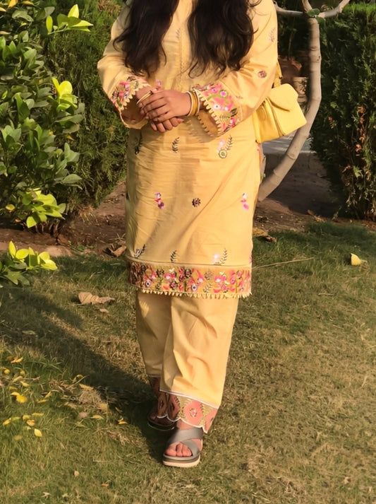 Silwalo | Stitch 2 Pc Embroidered Cotton Collection