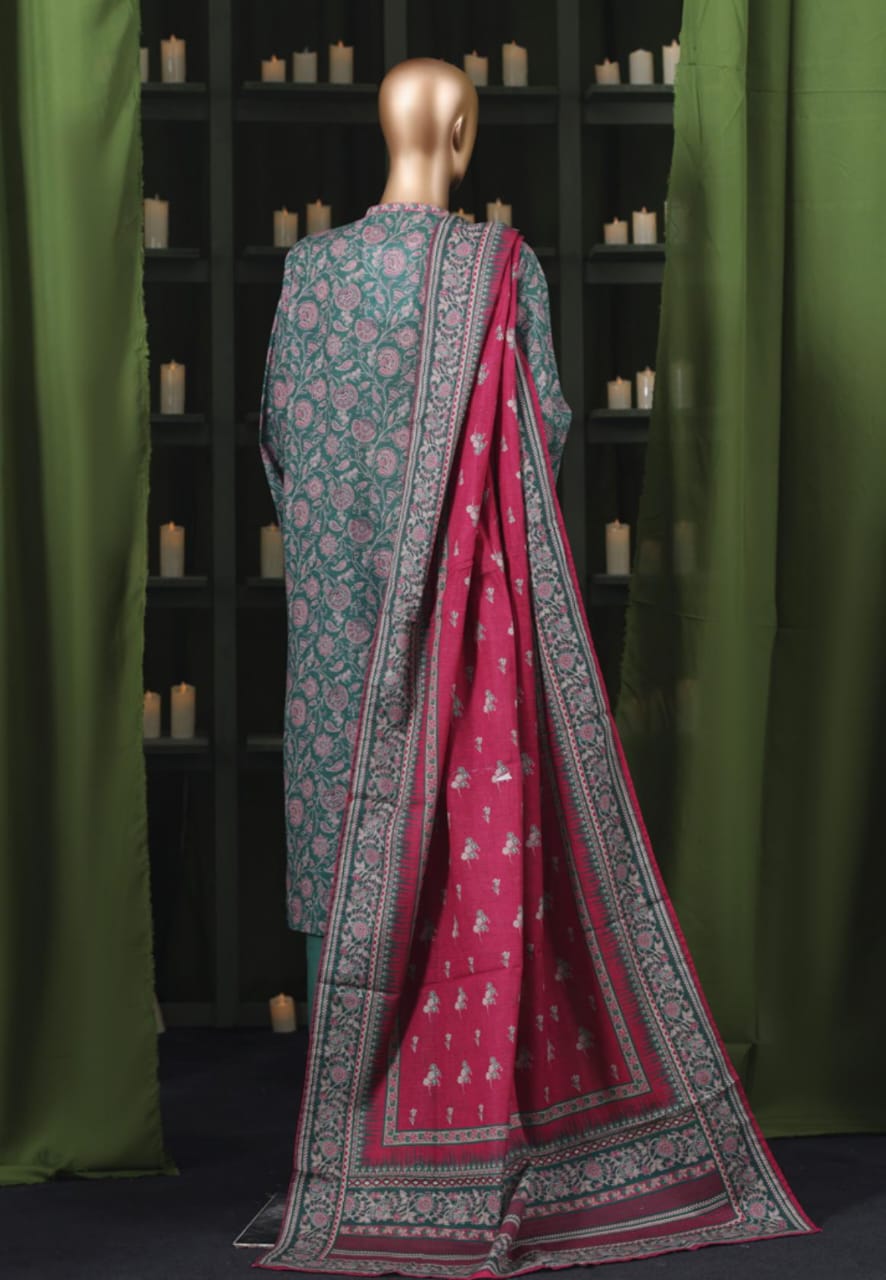 BIN SAEED | Stitch 3 Pc Printed Khaddar Collection