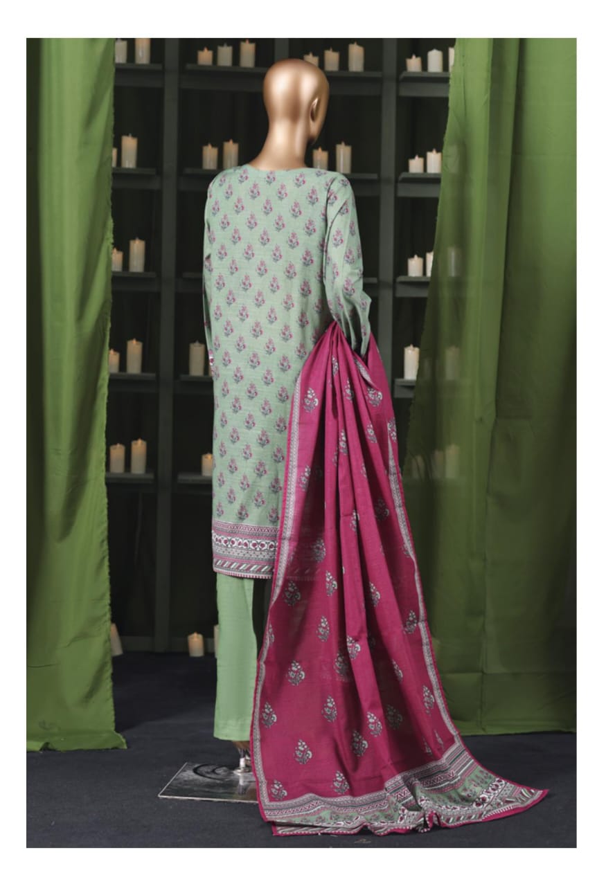 BIN SAEED | Stitch 3 Pc Printed Khaddar Collection