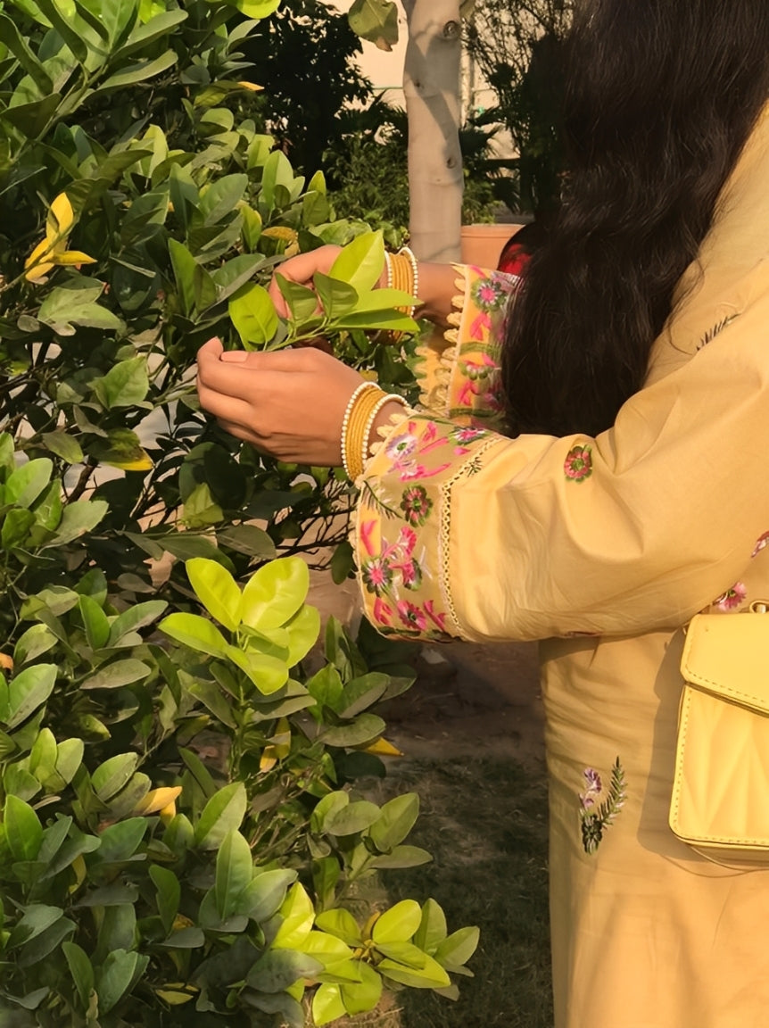 Silwalo | Stitch 2 Pc Embroidered Cotton Collection