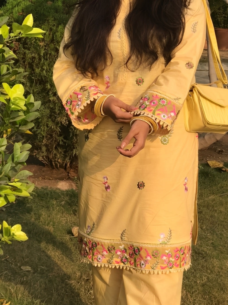 Silwalo | Stitch 2 Pc Embroidered Cotton Collection