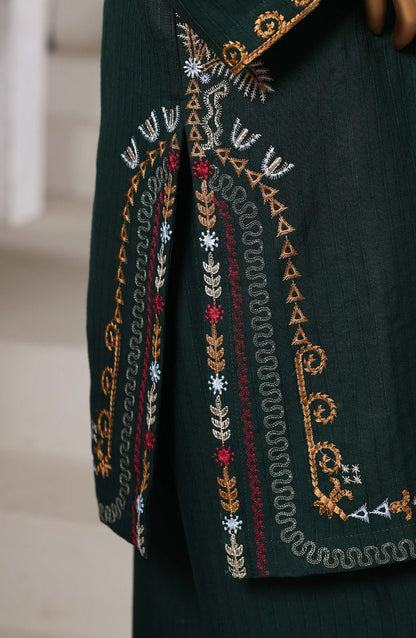 Sadabahar | Luxury Embroidered Dhanak Stitched 3 Pc with Palachi Shawl