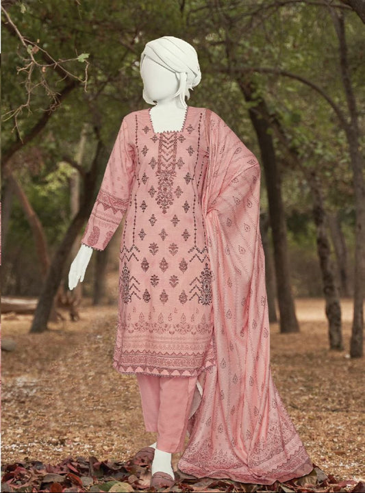 Haya | Embroidered Winter Collection by ABC 3-piece unstitched suit