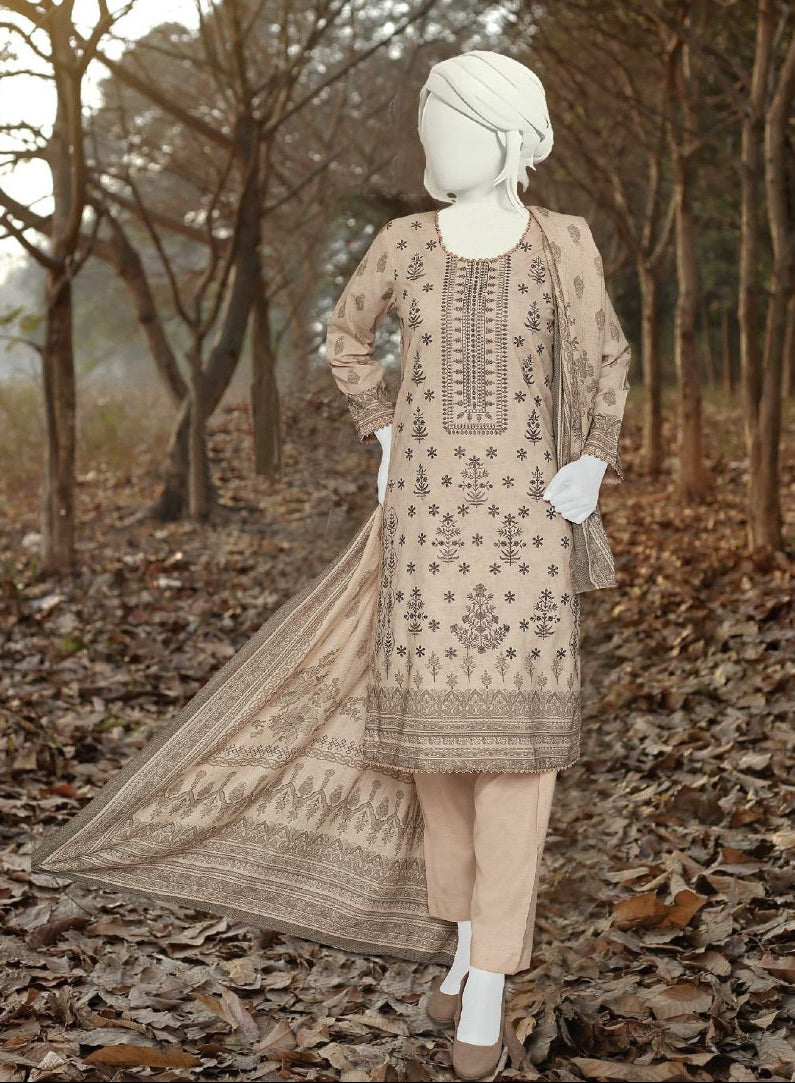 Haya | Embroidered Winter Collection by ABC 3-piece unstitched suit