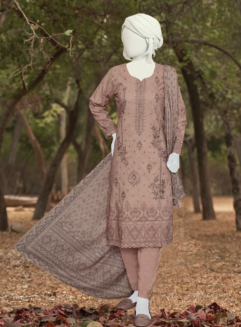 Haya | Embroidered Winter Collection by ABC 3-piece unstitched suit