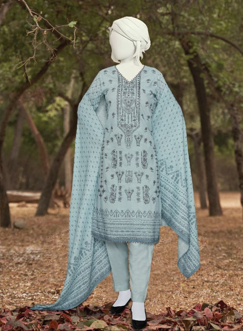 Haya | Embroidered Winter Collection by ABC 3-piece unstitched suit