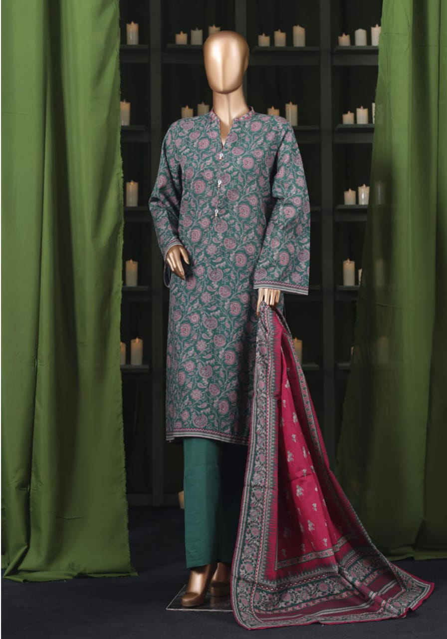 BIN SAEED | Stitch 3 Pc Printed Khaddar Collection
