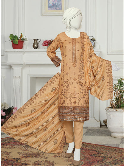 Bemisal by ABC | Unstitched 3-Piece Embroidered Printed Karandi Collection