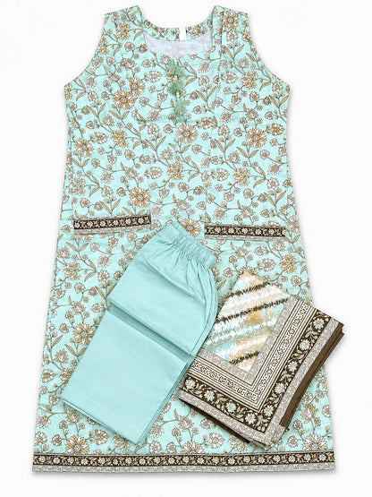 BIN SAEED | Stitched 3 Piece Printed Lawn Collection